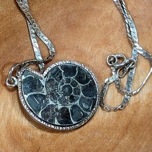 Chambered Ammonite Pendant